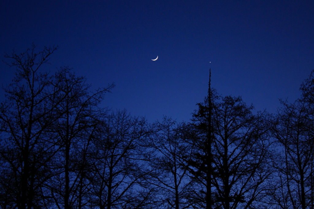 春の夜の出会い