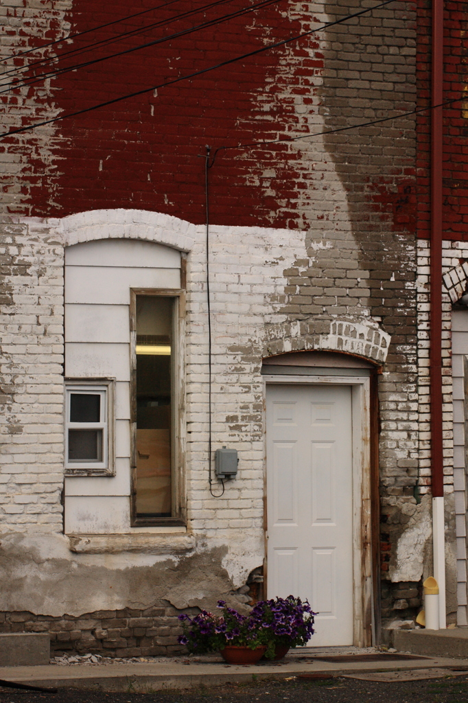 Back door