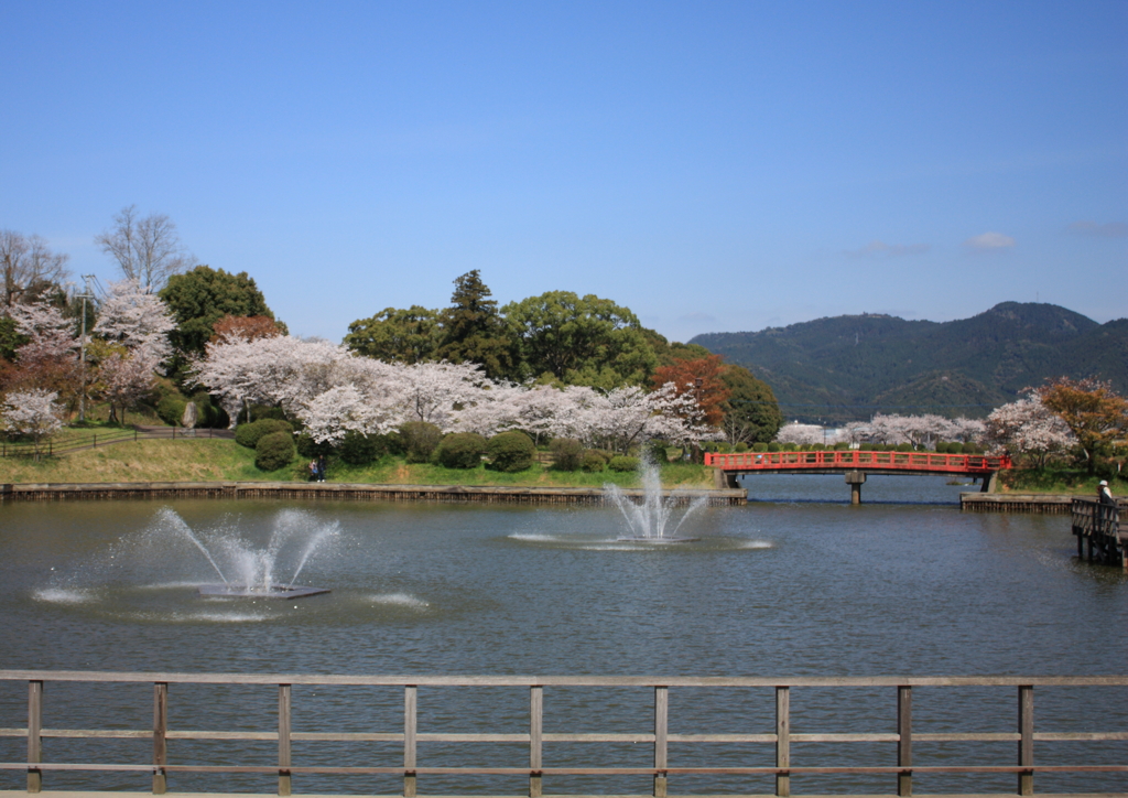 故郷の桜 Ⅰ