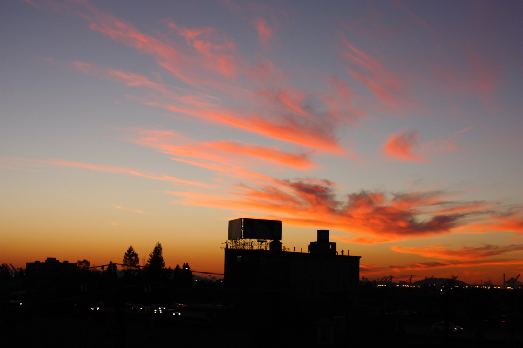 オークランド市夕景