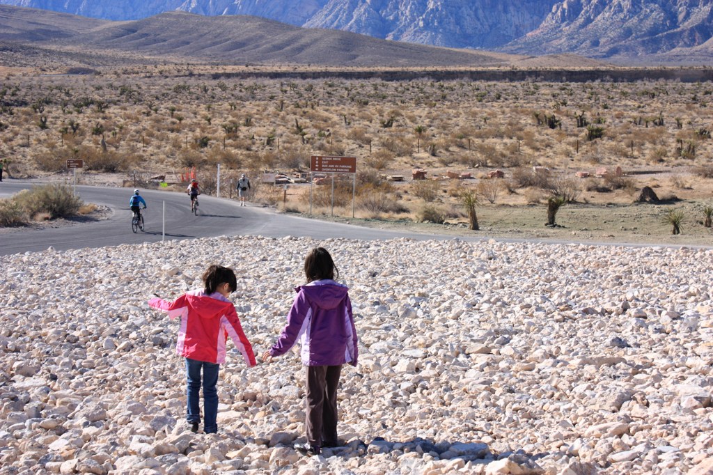 Red Rock CanyonⅡ