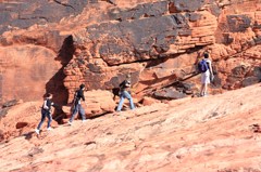 Red Rock CanyonⅥ
