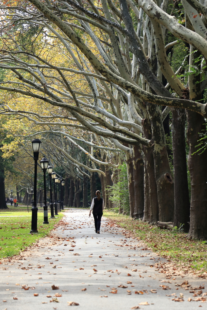 Riverside Park