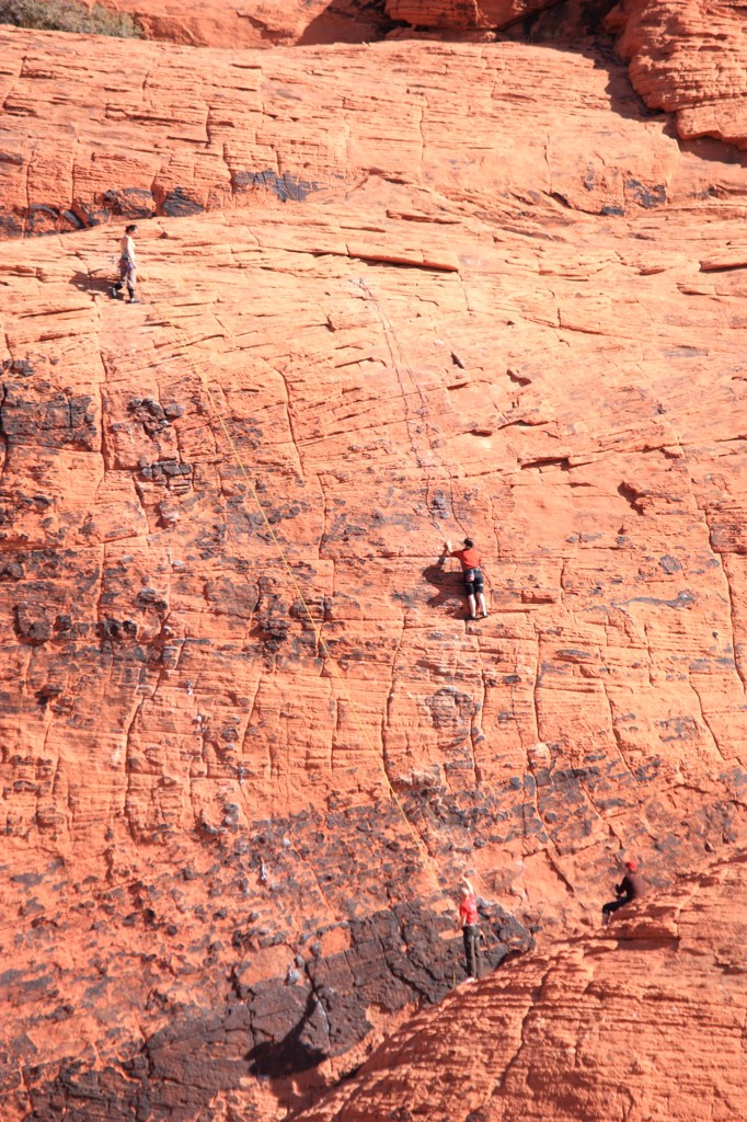 Red Rock CanyonⅧ