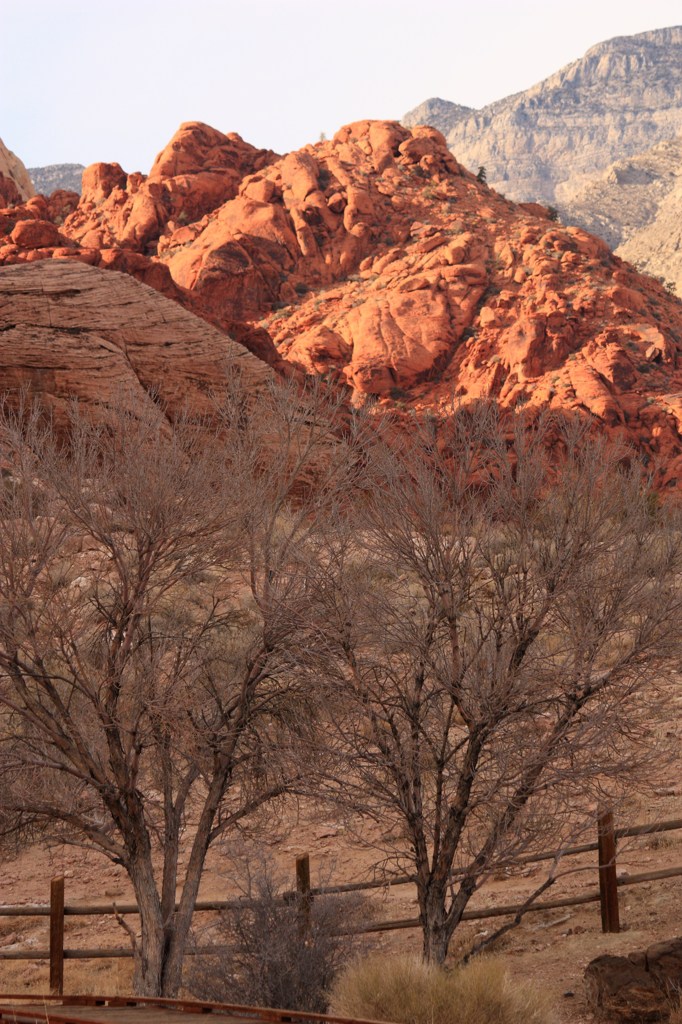 Red Rock CanyonⅩ