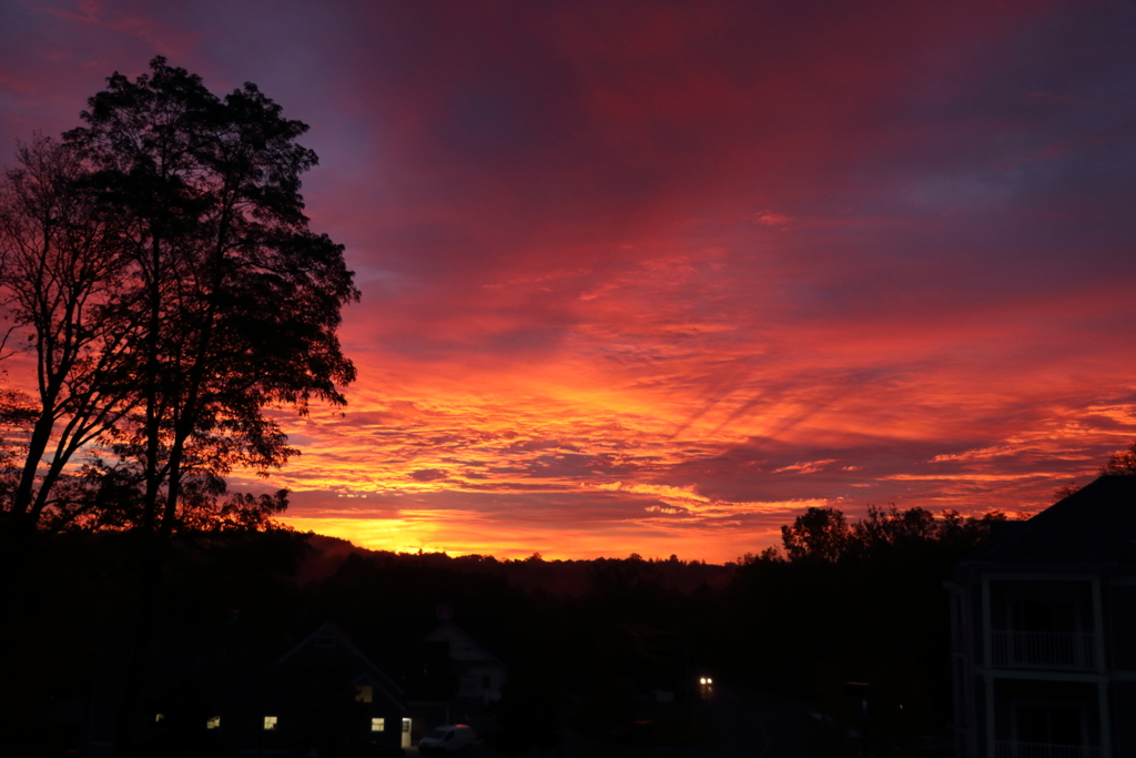 Morning glow