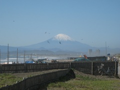 富士山