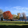 公園の秋