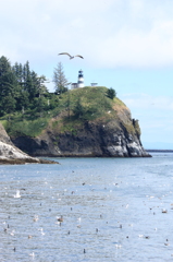 灯台と海鳥たち