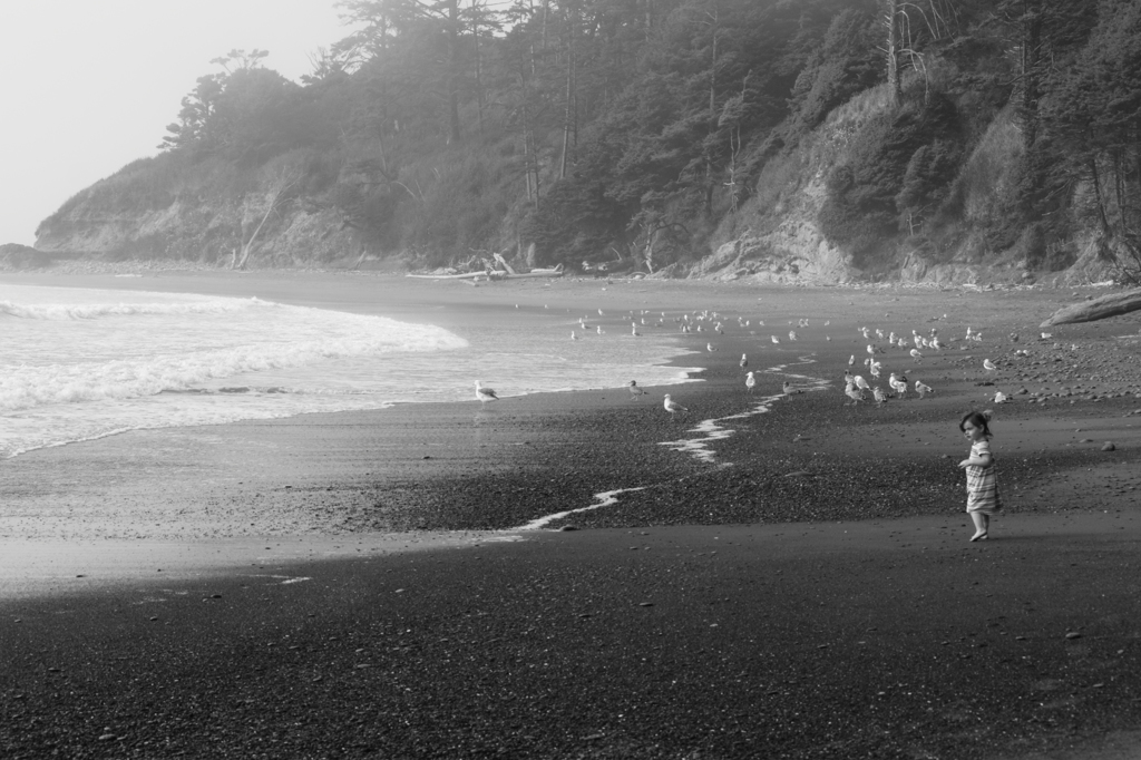 霧の中の砂浜