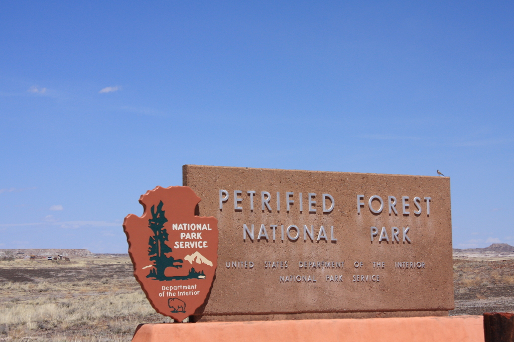Petrified Forest National Park
