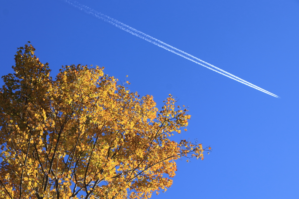 秋空