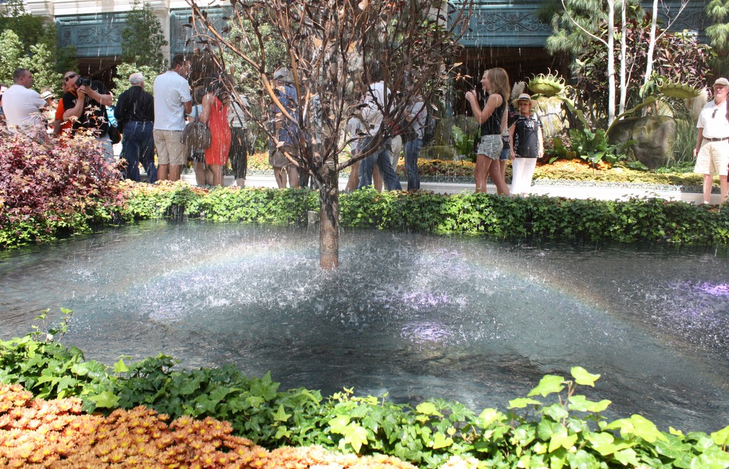 Small Rainbow