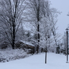 Snow Day