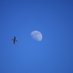 月と飛行機Ⅱ