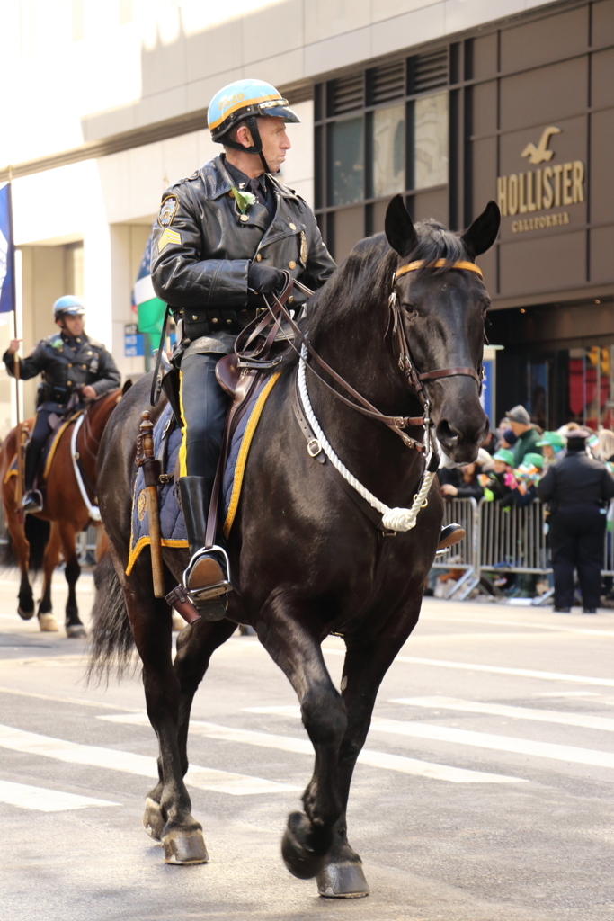 NYPD