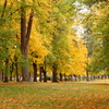 秋の公園