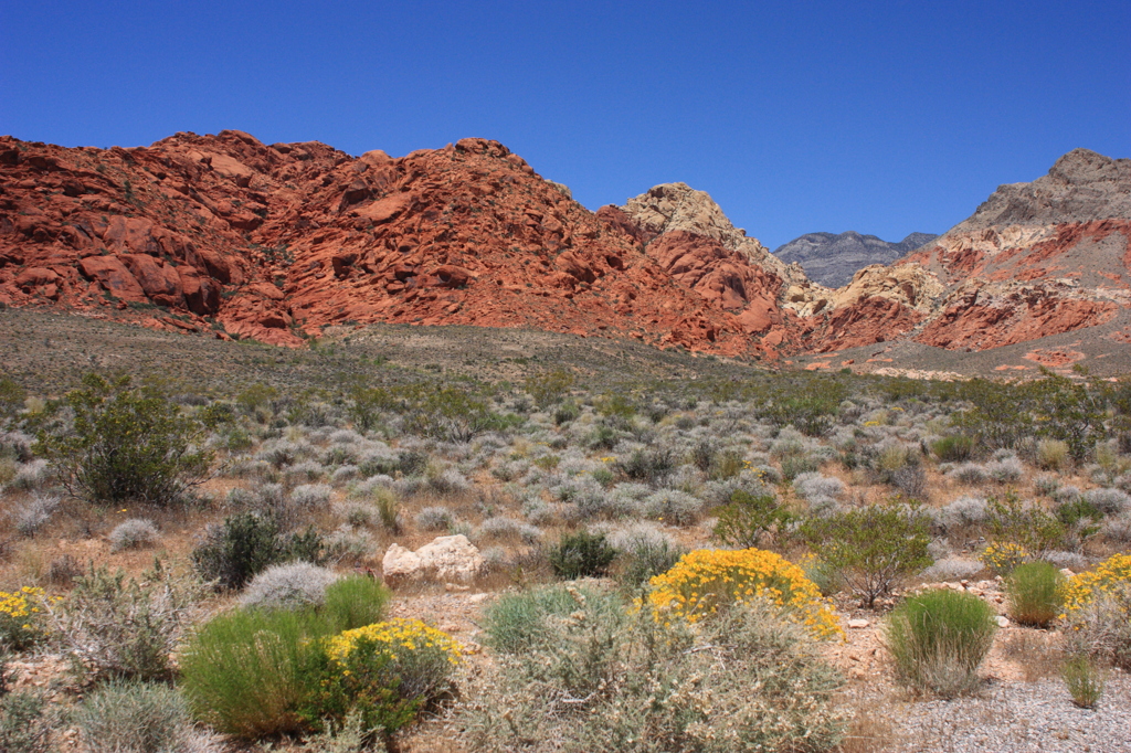 Red Rock Canyon