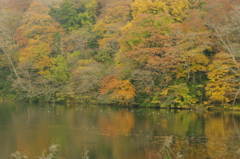 王池東湖かな？