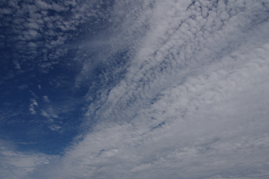 巻積雲