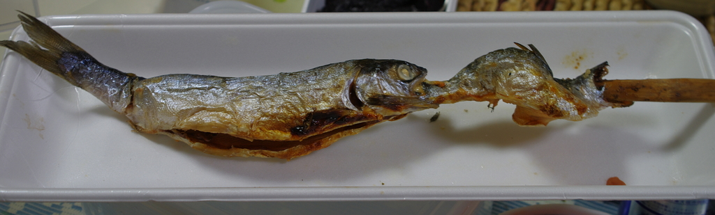 ヒメマスの串焼き