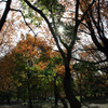 CentralPark_03