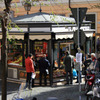 Rome_Bus_05