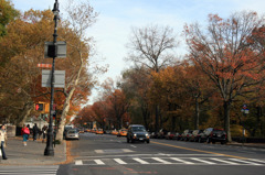 CentralPark_02