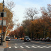 CentralPark_02