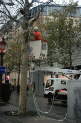 Paris_01