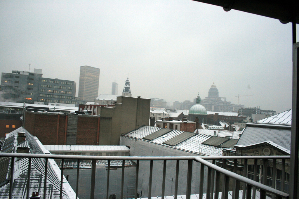 Brussels_SnowMorning