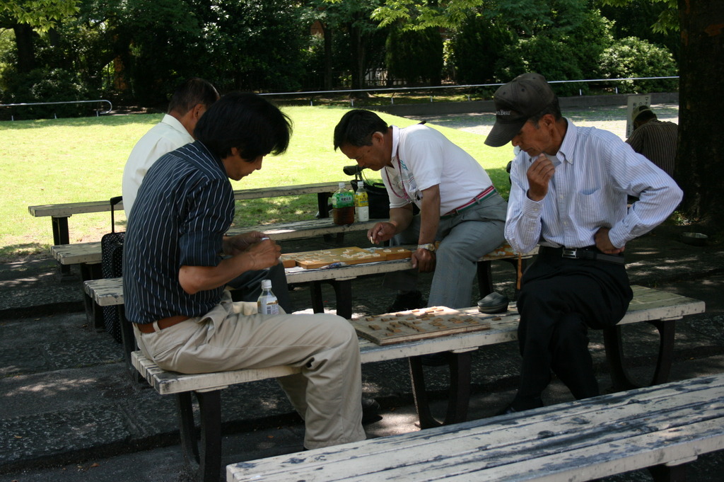 青空将棋。真剣です。