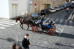 Rome_Bus_06