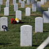 Arlington_03