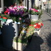 Brussels_12