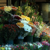 Flower_Shop