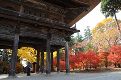 霊松寺