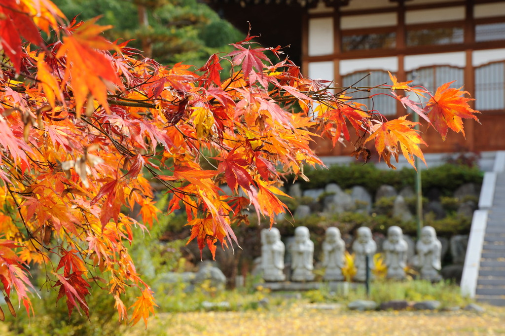 長福寺　紅葉