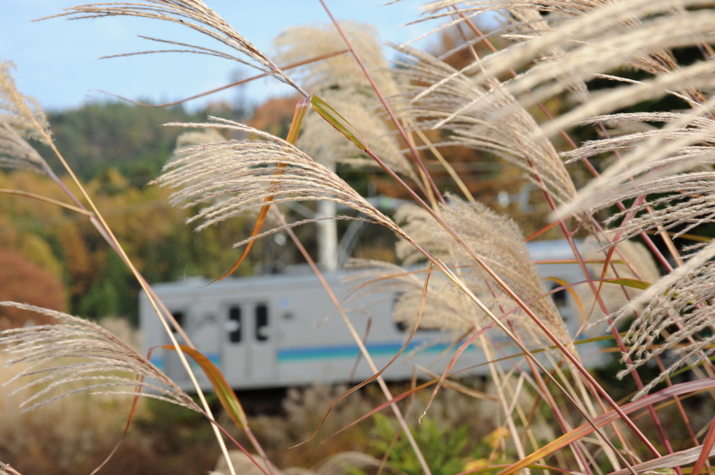 列車通ります。