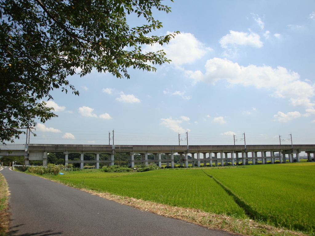 DSC00394