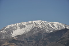 春の伊吹山・車窓より