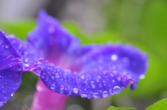 Surface tension