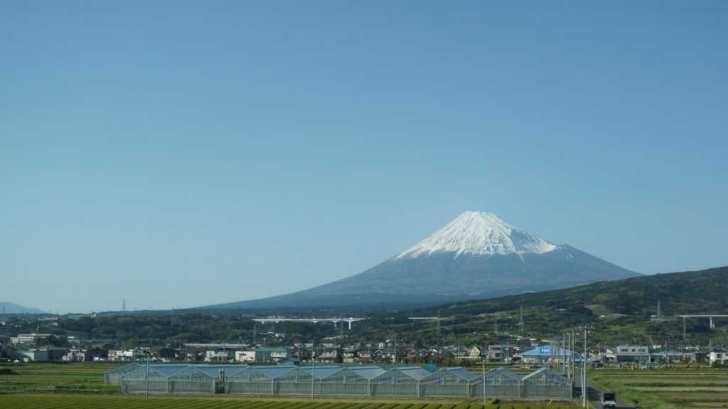 茶畑と富士