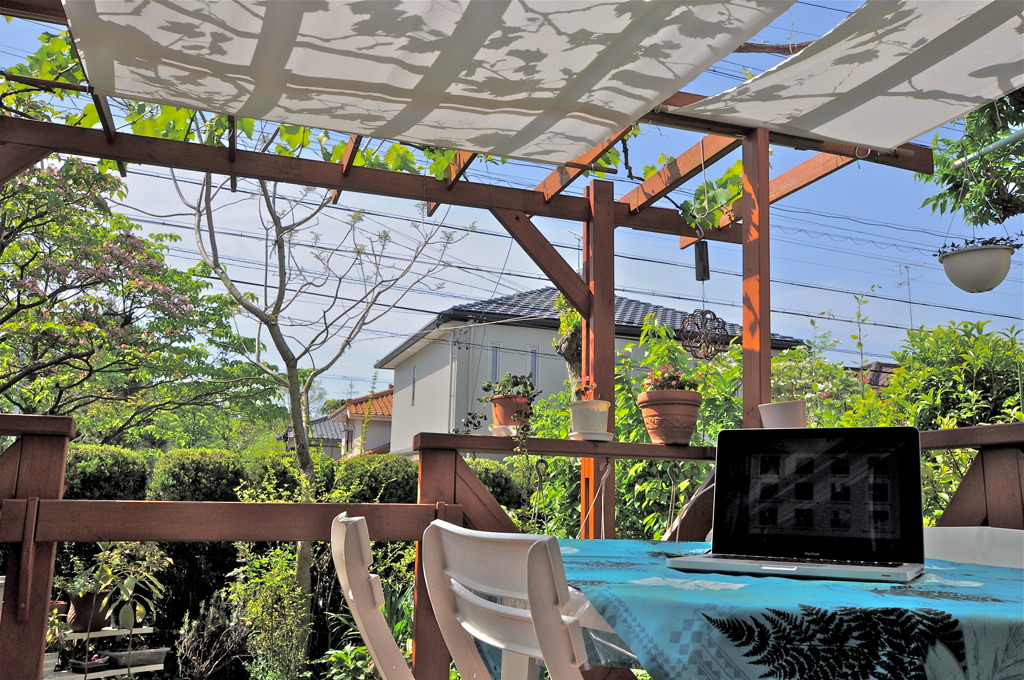 One sunny day 