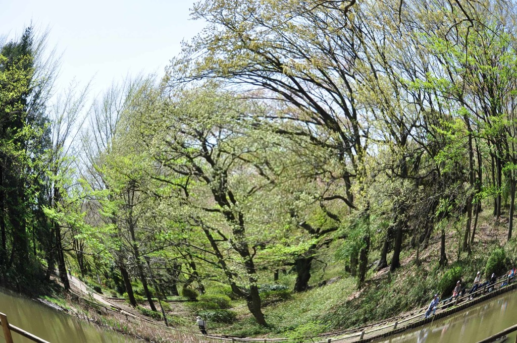 風光る 俄釣り師の 横並び