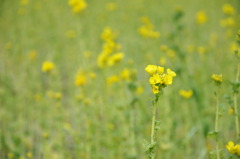 Signs of spring