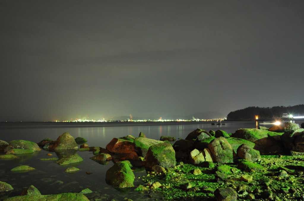 Low tide seashore at night
