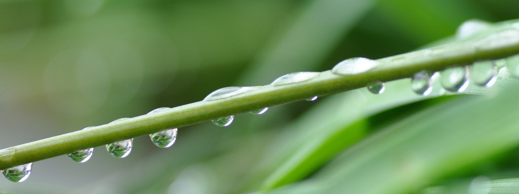  Line dancing of raindrops