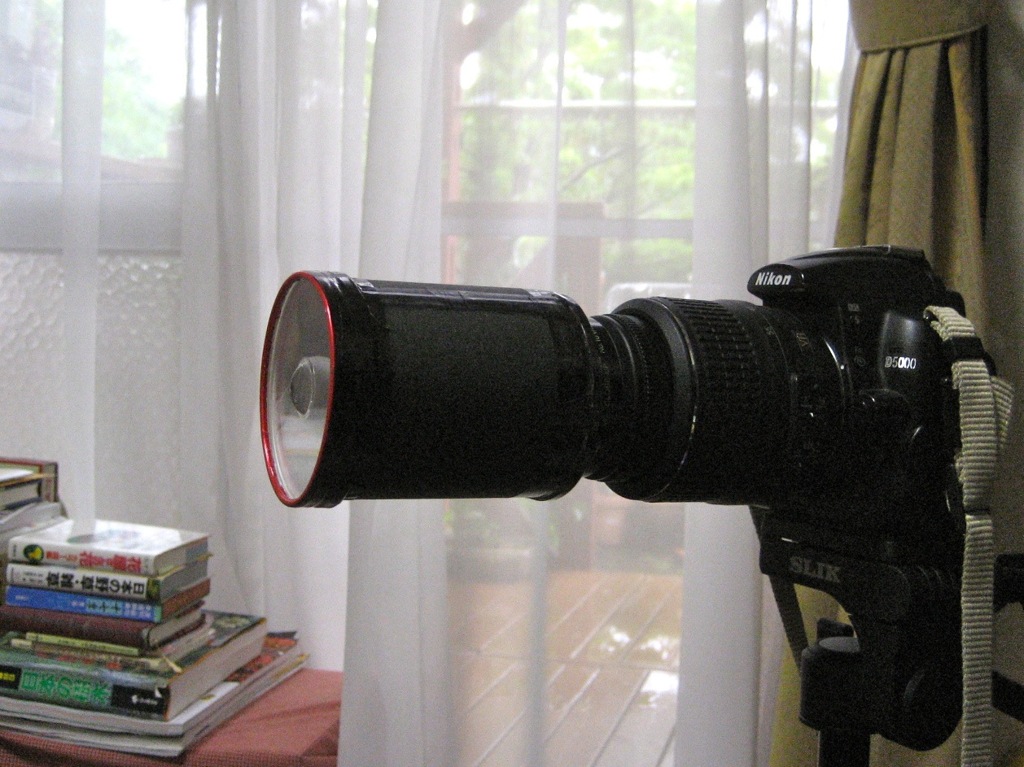 NEW LENS