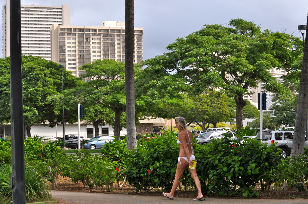 南の島風景　１